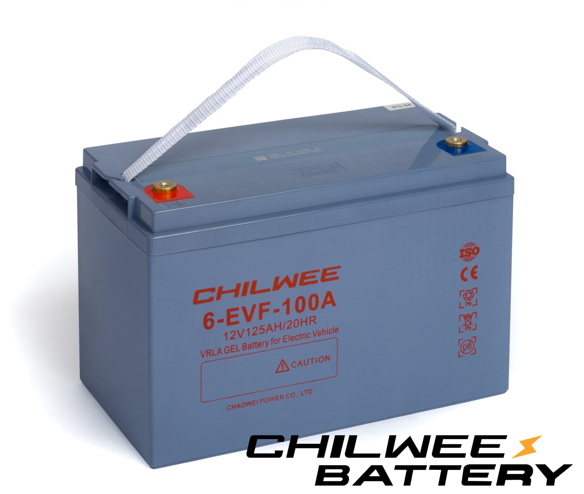 Аккумуляторная батарея Chilwee 12В-113А/Ч (С5)
